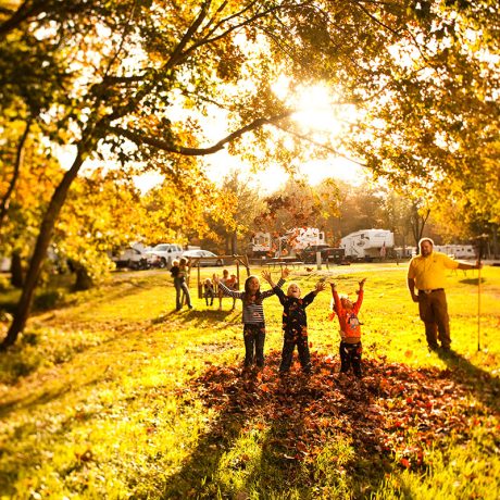 family playing in autumn leaves